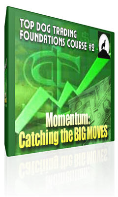 Big dog trading system
