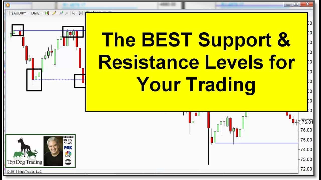 Best forex trading training for beginners