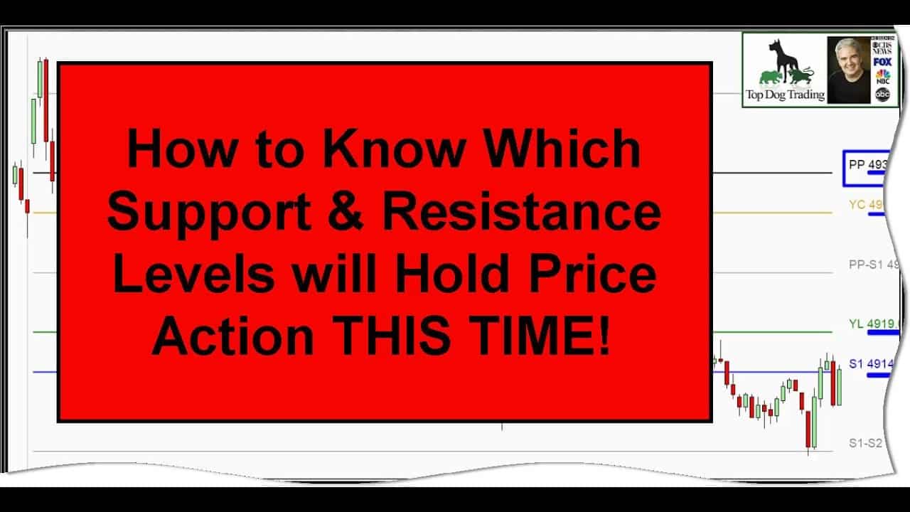 Top dog trading strategies