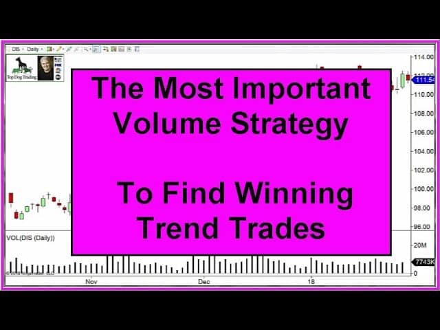 Top dog trading strategies