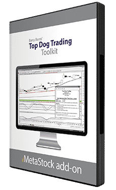 Top Dog Trading MetaStock